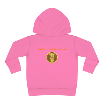Toddler Pullover Fleece Hoodie